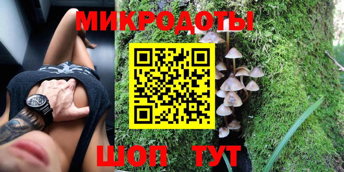 Галлюциногенные грибы Psilocybe Крымск