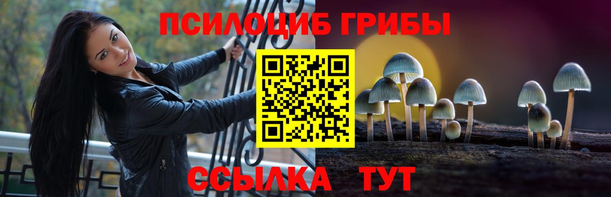Крымск  Псилоцибиновые грибы ЛСД  купить закладку  Вход с VPN 